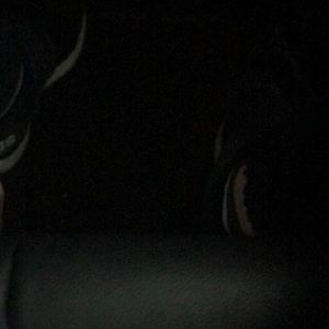 Meet your Posher, Jayden